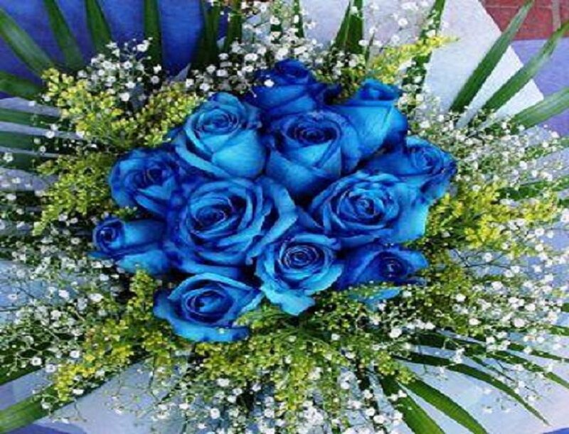 Blue Rose Bouquet — Calm