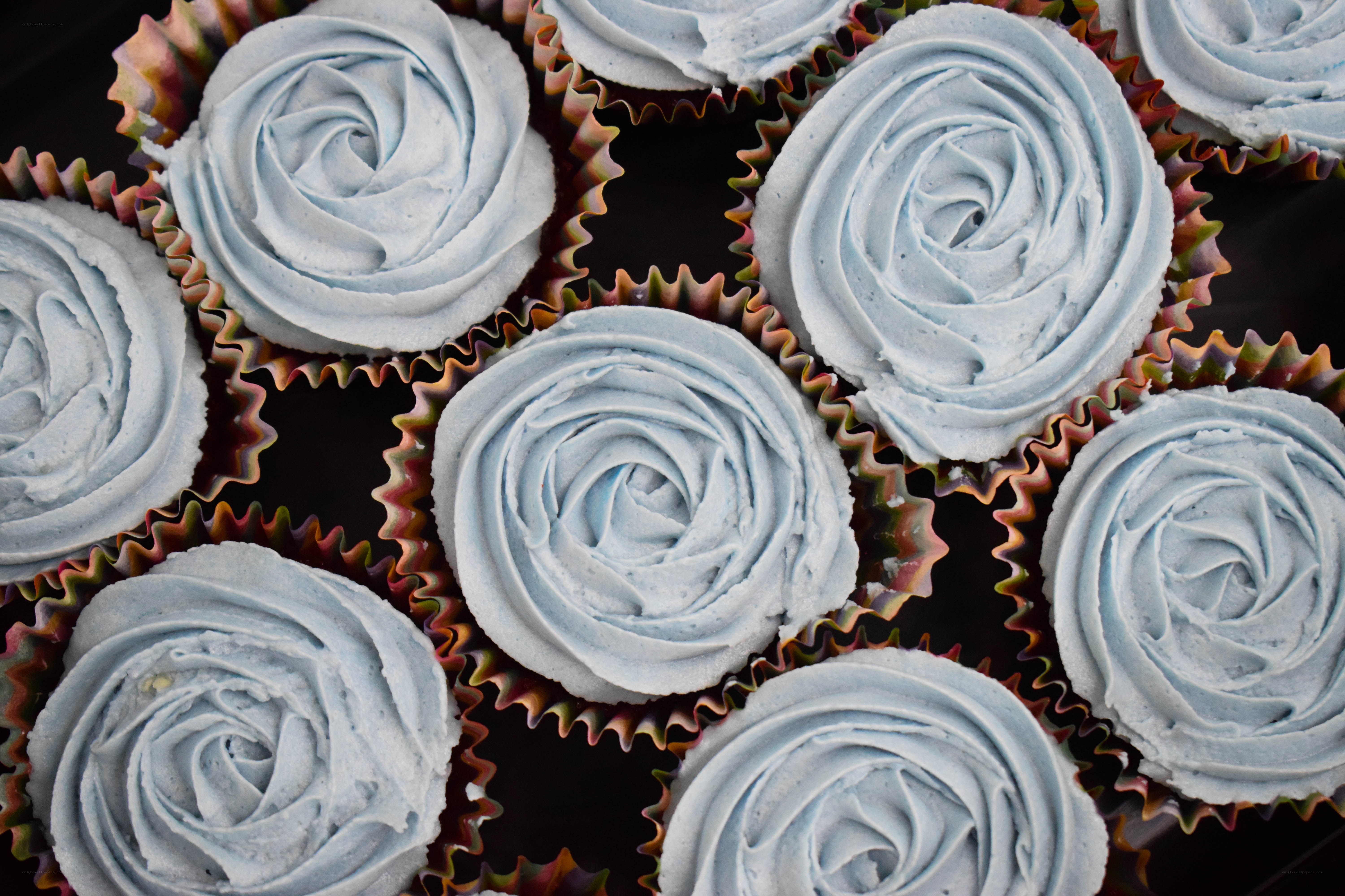 Blue Rose Cupcakes