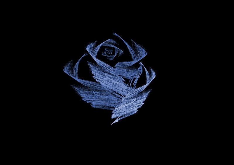 Blue Rose Drawing