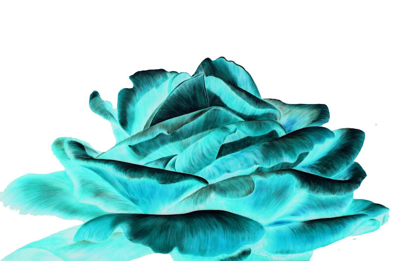 Blue Rose Flower — Cyan