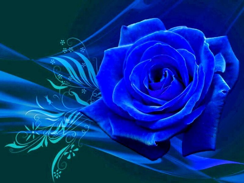 Blue Rose Flower — Dramatic, Digital Art, Flowers, Swirls