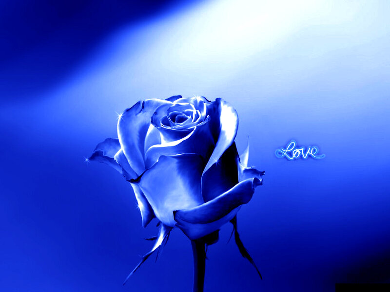 Blue Rose Flower — Dramatic, Digital Art, Light