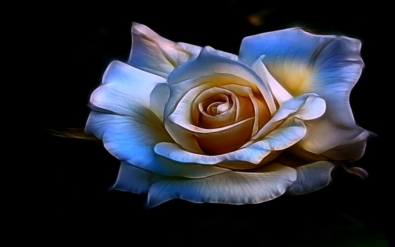 Blue Rose Flower — Dramatic, Digital Art, Petals, Dark Background