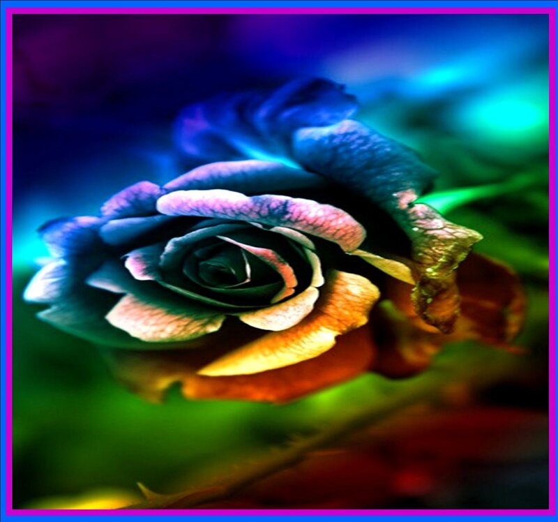 Blue Rose Flower — Dramatic, Digital Art, Petals, Stem