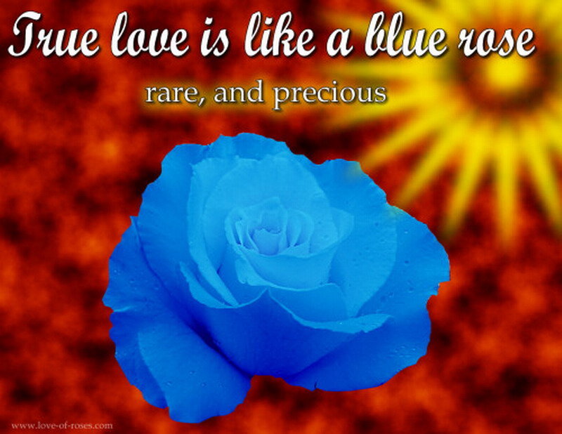 Blue Rose Flower — Dramatic, Digital Art, Text