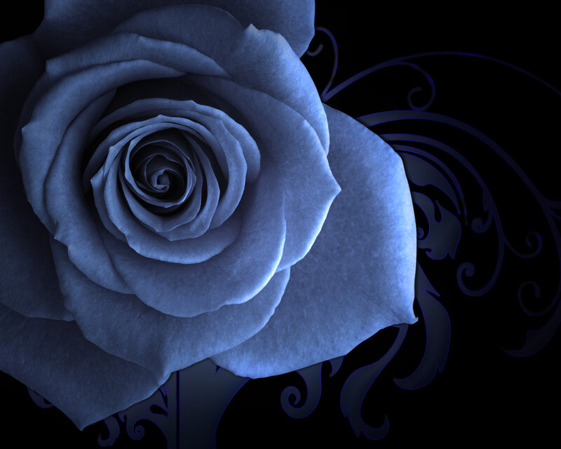 Blue Rose Flower — Dramatic, Digital Art