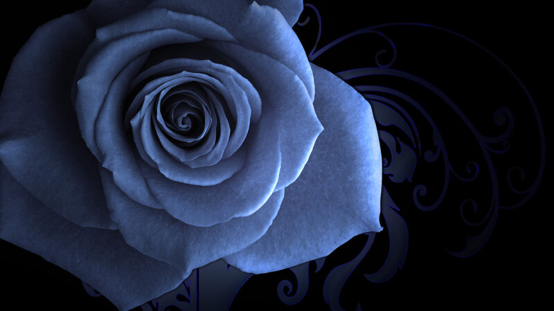 Blue Rose Flower — Dramatic, Night, Digital Art, Swirls