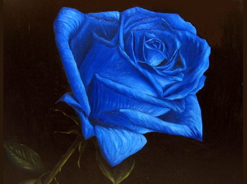 Blue Rose Flower — Dramatic, Painting, Stem, Leaf