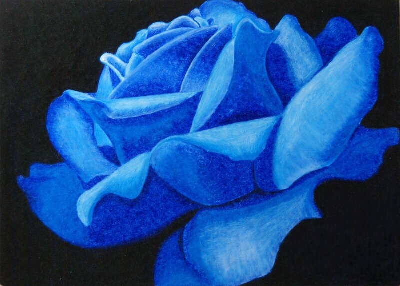 Blue Rose Flower — Dramatic, Painting