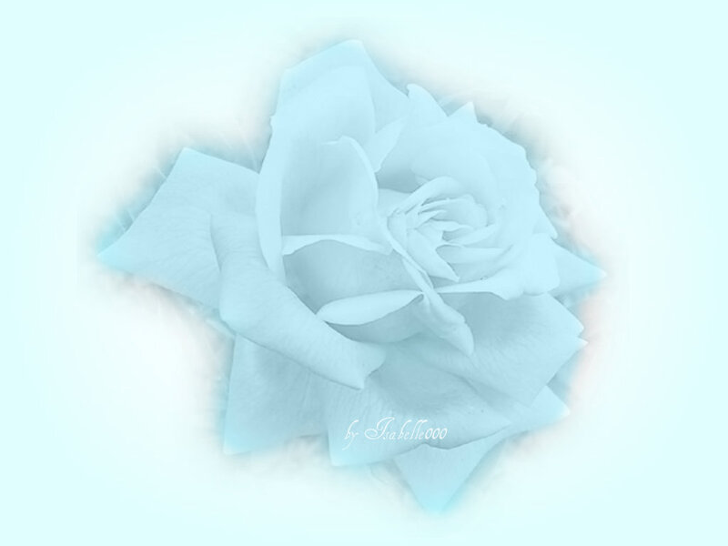 Blue Rose Flower — Light Blue, Serene, Digital Art