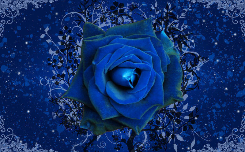 Blue Rose Flower — Mystical