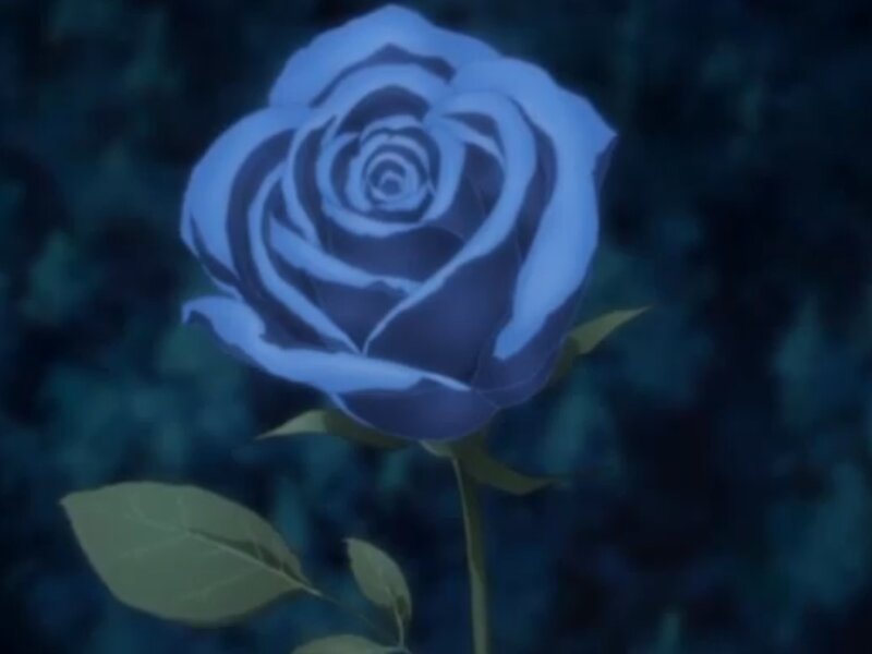 Blue Rose Flower — Serene, Night