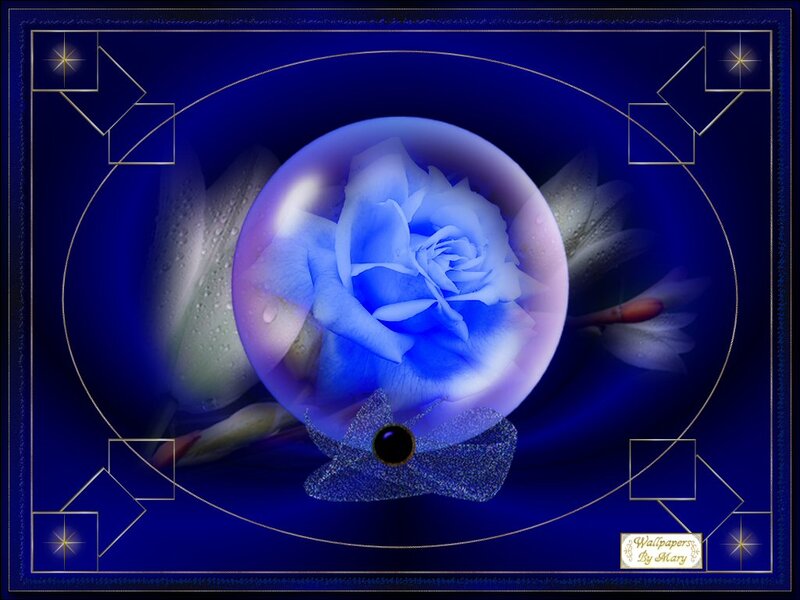 Blue Rose in a Sphere