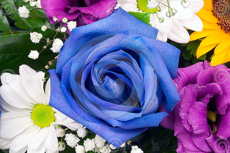 Blue Rose in Bouquet