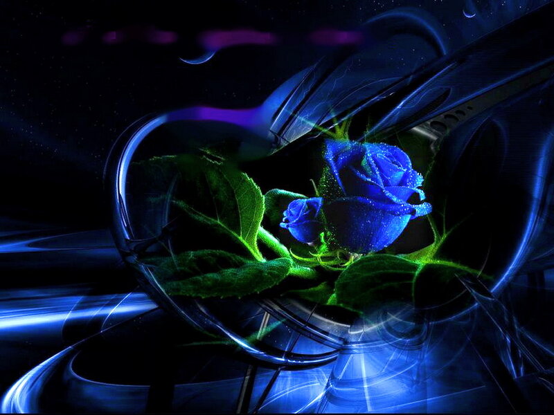 Blue Rose in Glass