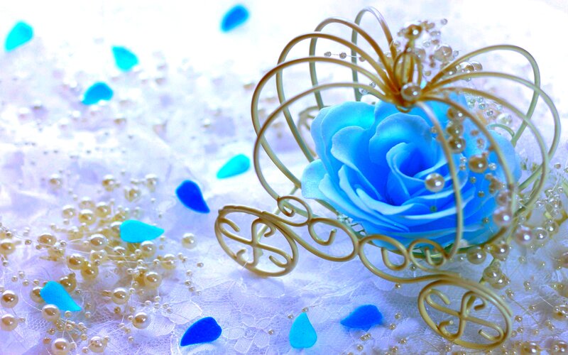 Blue Rose in Golden Carriage