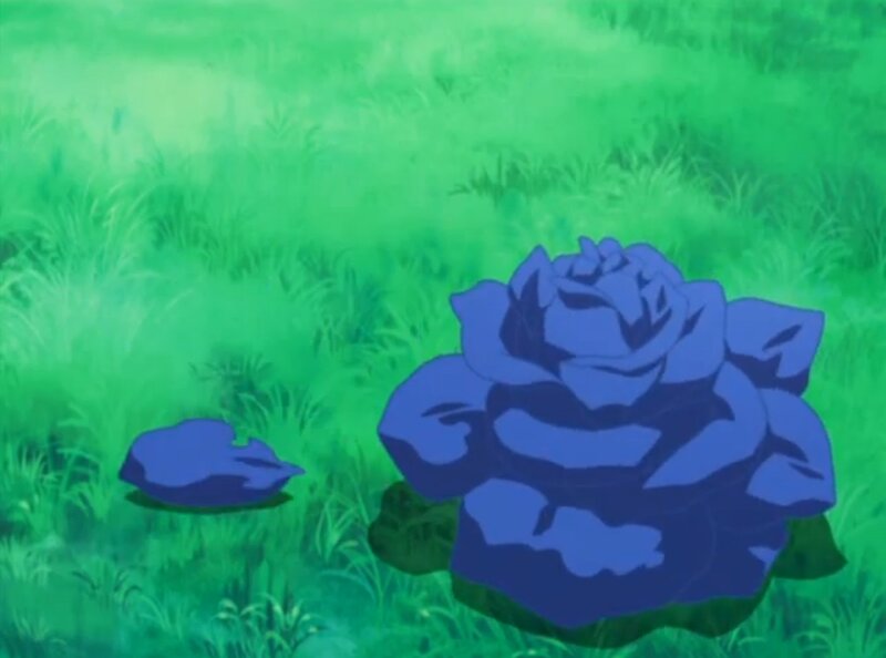 Blue Rose in Grass — Green