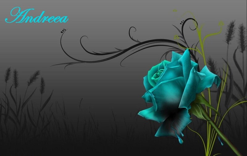 Blue Rose in Grass