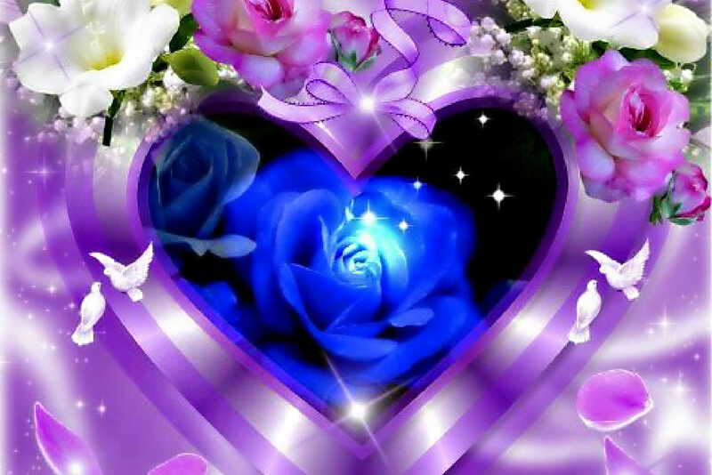 Blue Rose in Heart — Purple