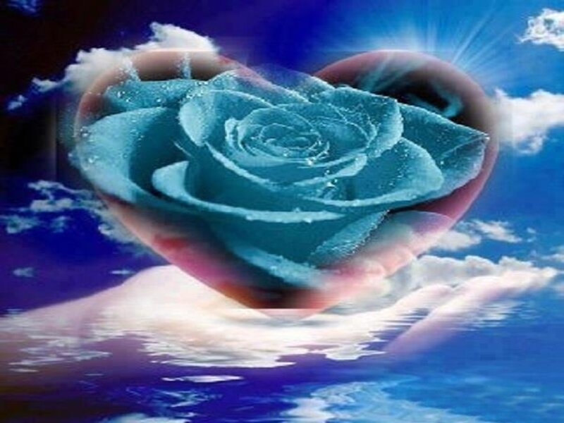 Blue Rose in Heart — Serene