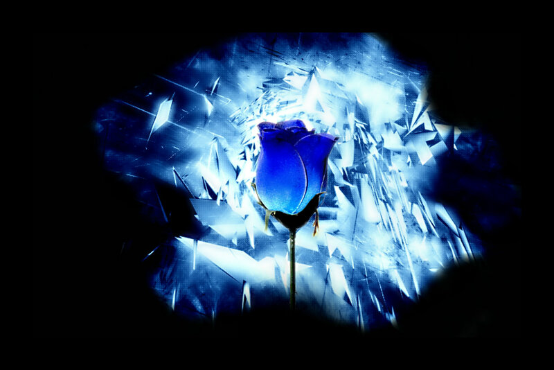Blue Rose in Ice