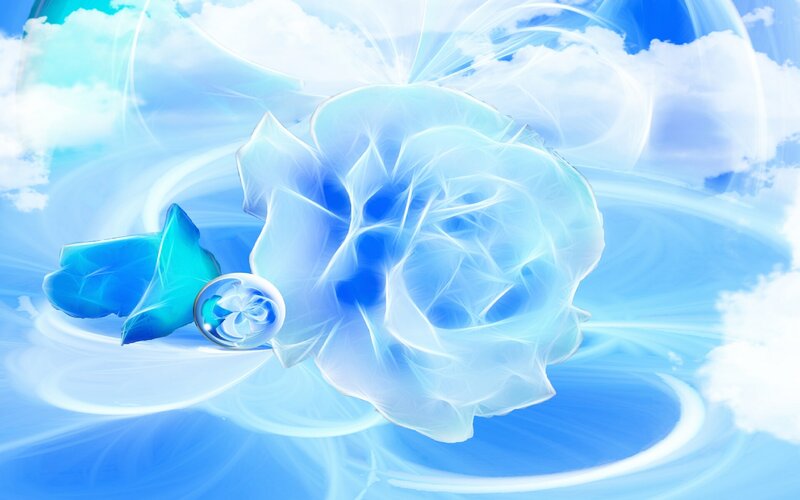 blue rose in sky