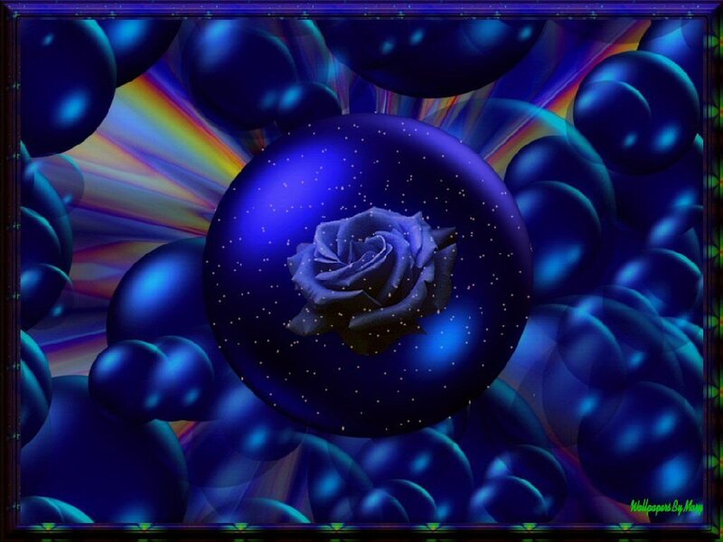 Blue Rose in Sphere