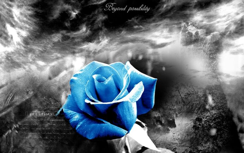 Blue Rose in Storm