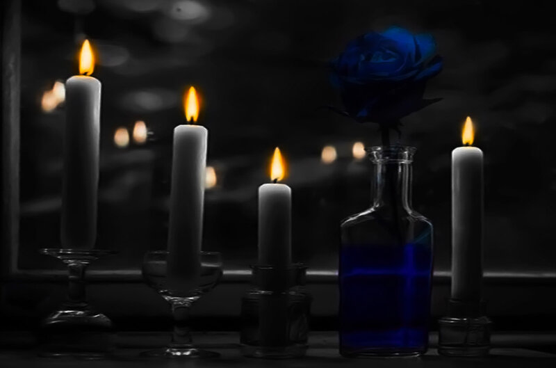 Blue Rose in Vase — Black