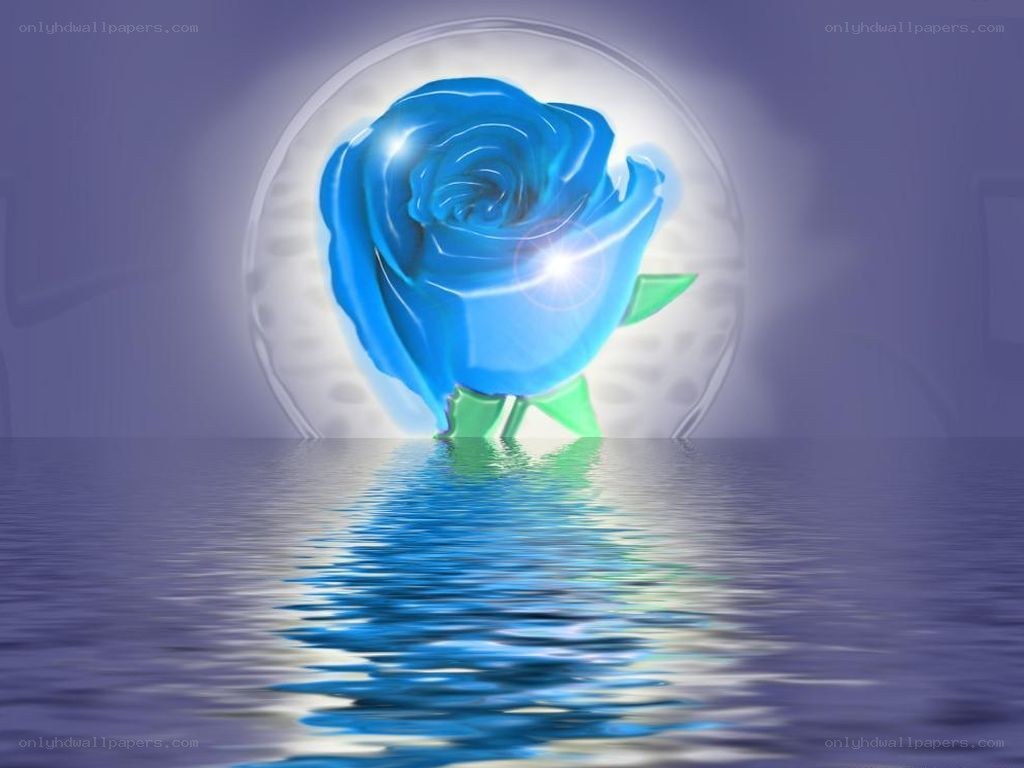 Blue rose in water reflection
