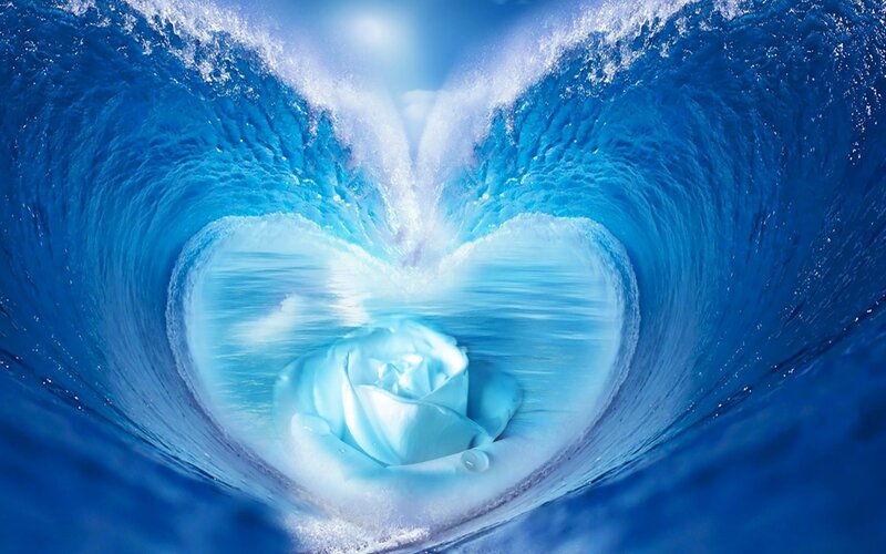 Blue Rose in Wave
