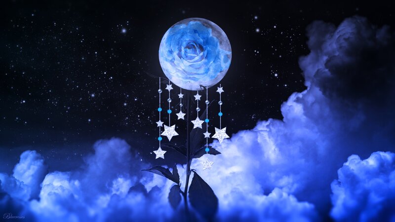 Blue Rose Moon