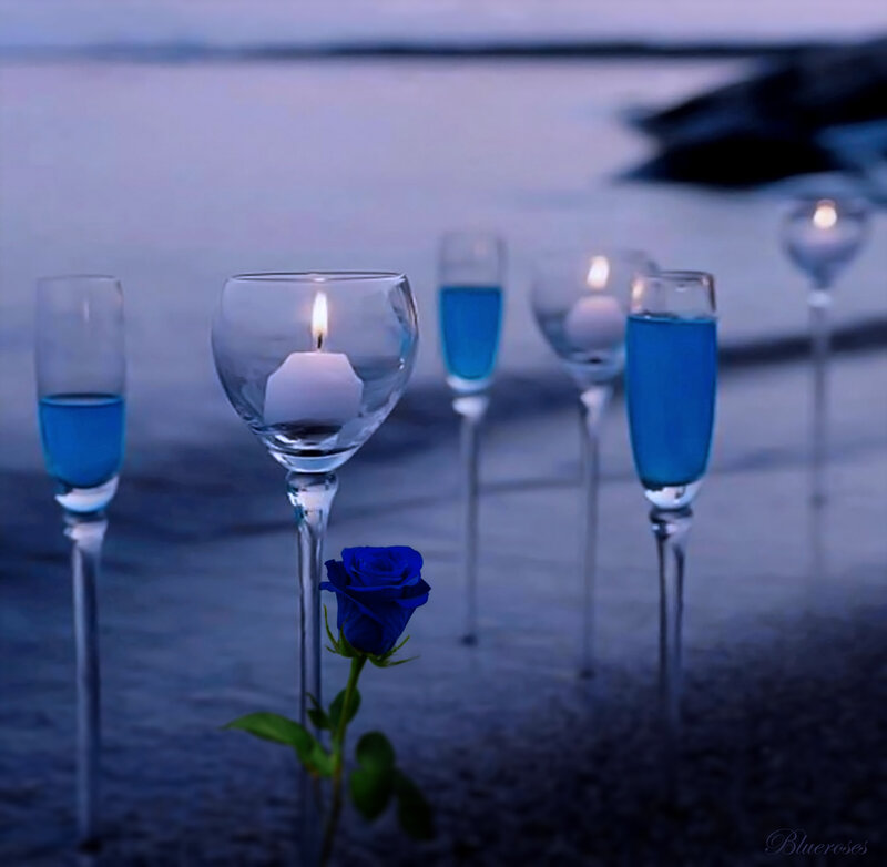 Blue Rose on Beach