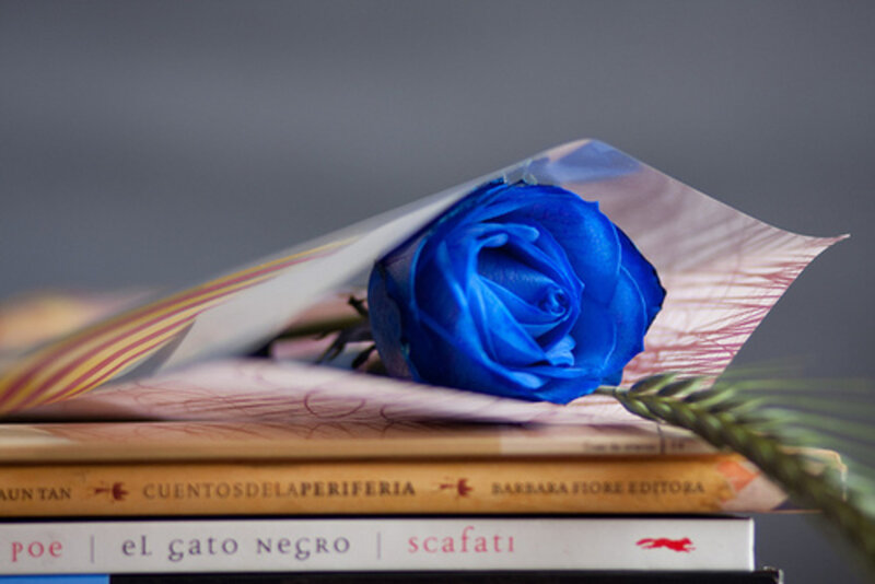 Blue Rose on Books