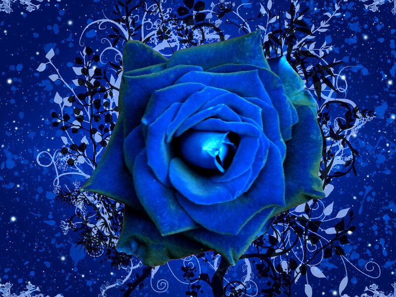 Blue Rose on Dark Background — Dreamy