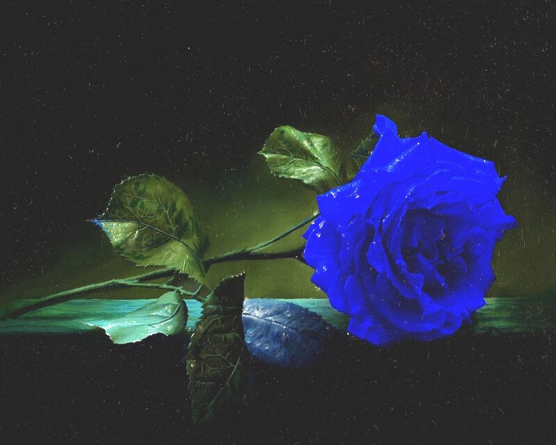 Blue Rose on Dark Surface — Dramatic, Night, Photograph