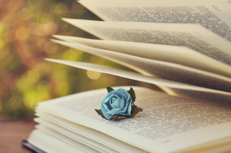 Blue Rose on Open Book — Serene, Afternoon