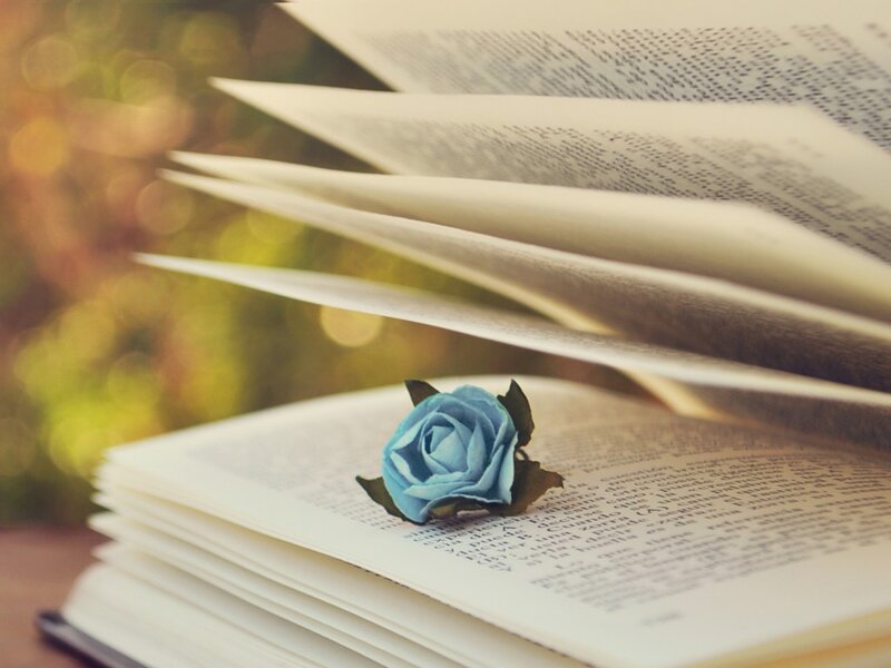 Blue Rose on Open Book — Serene