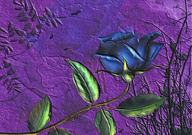 Blue Rose on Purple Background