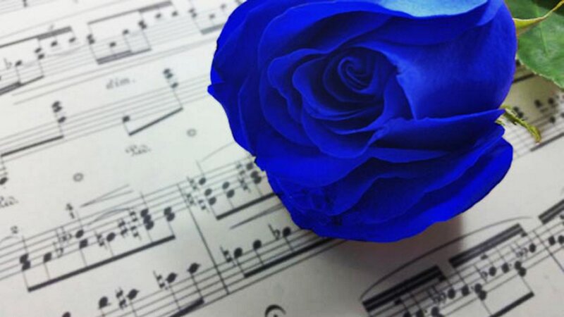 Blue Rose on Sheet Music