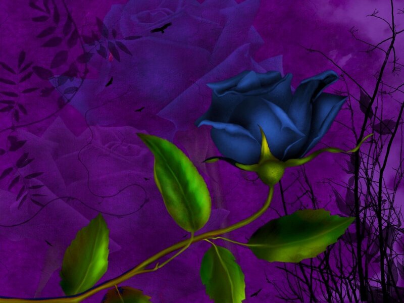 Blue Rose on Stem
