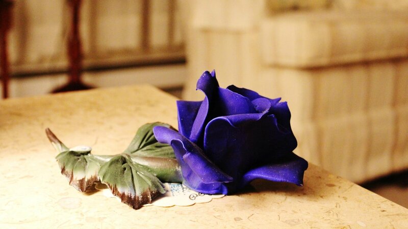 Blue Rose on Table