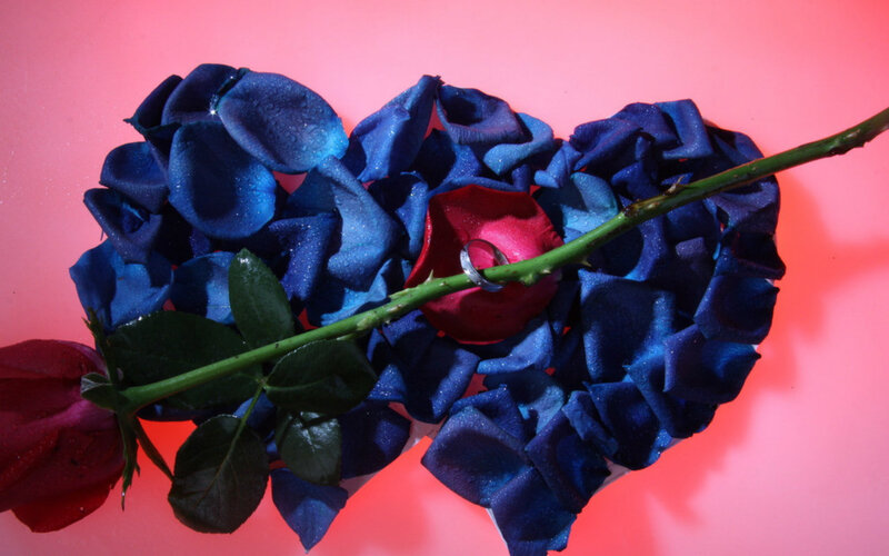 Blue Rose Petals and Ring