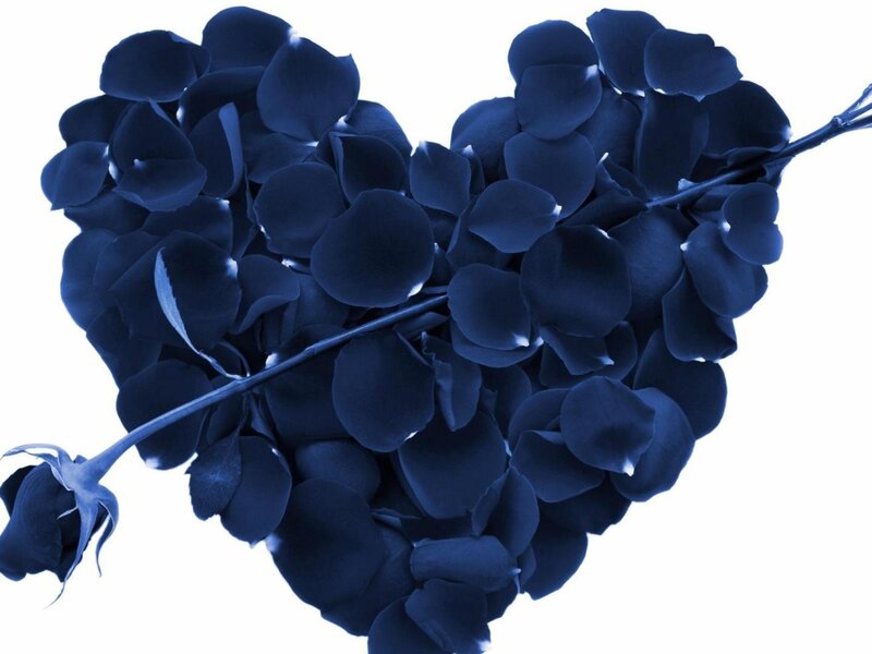 Blue Rose Petals Heart — Calm