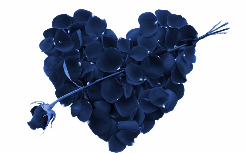 Blue Rose Petals Heart