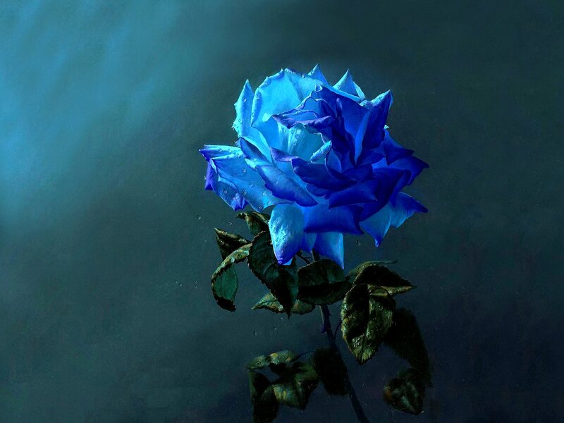 Blue Rose Underwater — Dramatic