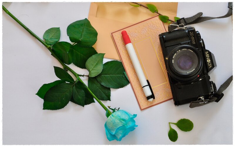 Blue Rose with Camera