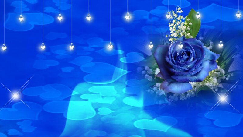 Blue Rose with Flowers