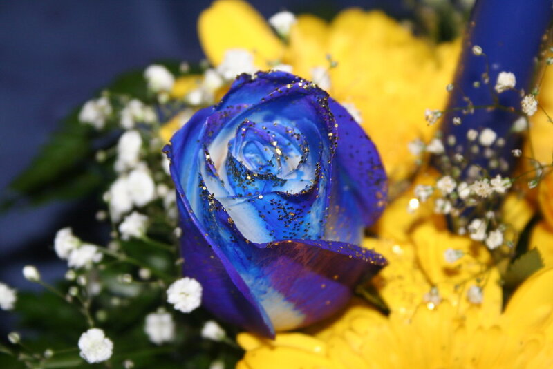 Blue Rose with Glitter — Festive
