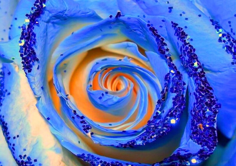 Blue Rose with Glitter — Vibrant